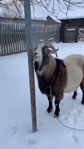 r1PHj 2llPVB3Js9.jpg