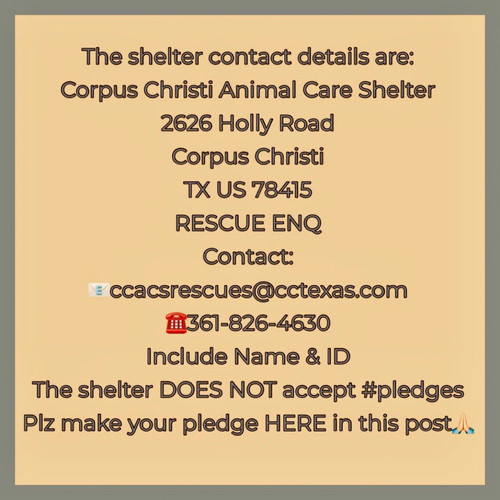 G QHzoIXAAA2t3Z?format=jpg.jpg