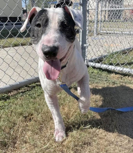 G QHznDXgAARfK3?format=jpg.jpg