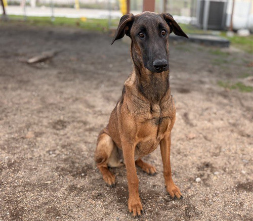 G MDScFX0AA0knj?format=jpg.jpg