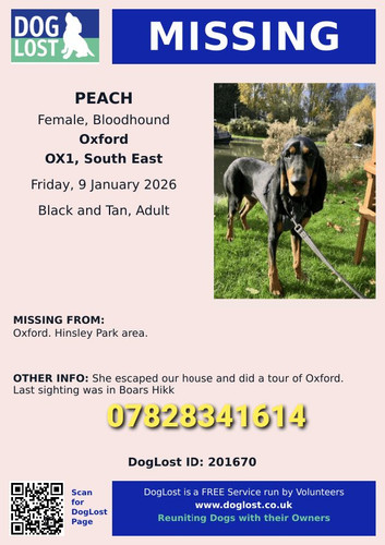 G Pnm24XkAA3ijA?format=jpg.jpg