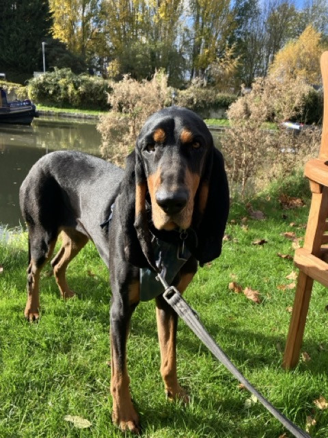 G PnmwpXYAArtDQ?format=jpg.jpg