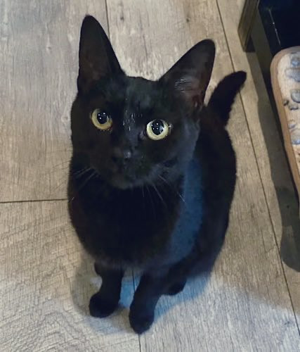 G K3PNNWIAAu9Ue?format=jpg.jpg