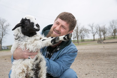 G O1d82XYAAd hd?format=jpg.jpg