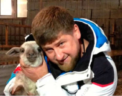 G O1jBpX0AABqYh?format=png.png