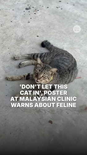 eMSBSF0WjNP jkB .jpg