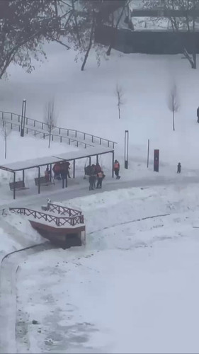 x0LAu32 cSFM9W40.jpg