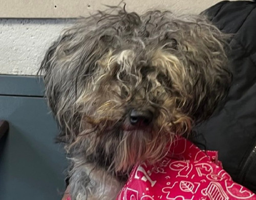 G Q97kcX0AAXcvD?format=jpg.jpg