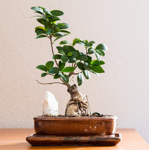 living room 8254772 1920.jpg