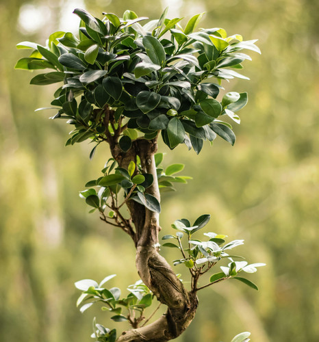 saikrishna saketh yellapragada CAwbHCW1I8A unsplash.jpg