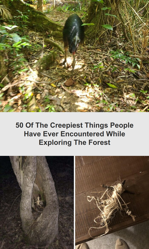 ig tt comments 3905778a 2ab4 4d31 8420 a789b73d3fa0.png