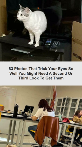 ig tt comments ac187cdd ebaf 41b1 8268 df10b0a7d3c5.png