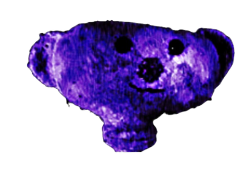 head kostya.png