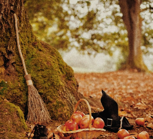 548d9ba3f97187b15e7915a7658a464f 01.jpg