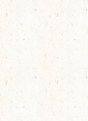 Camera 1040g3k031qjmbgb07u005np6g40g8dctu4meji0 edit 3000888172916054.jpg