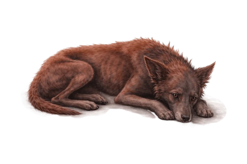 image removebg preview.png