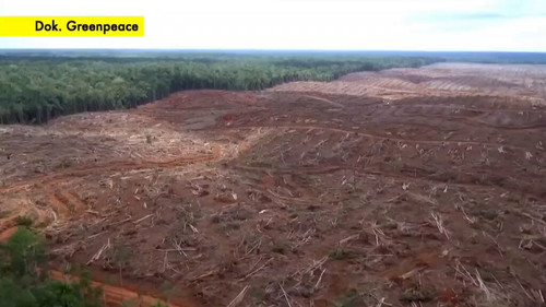 O1e s3X59kL6DzUb.jpg