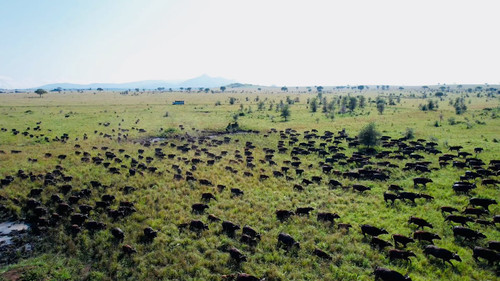 oHrChN VcTHFB8sM.jpg