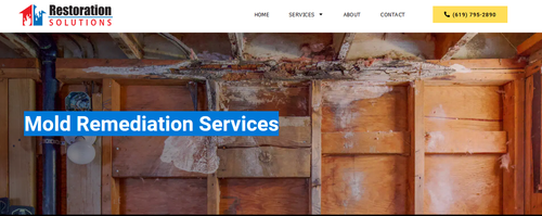 Mold remediation san diego.png