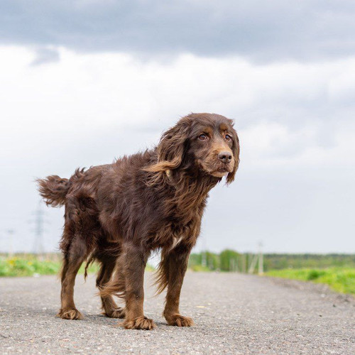 G SoDiIW8AAbS3Y?format=jpg.jpg