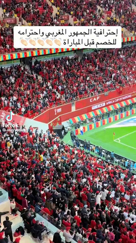 MpdntbE3y425L hg.jpg