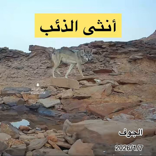 EWlK 1nIu 0wZXsu.jpg