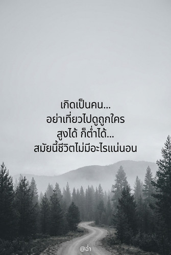 d221f896c288.jpg