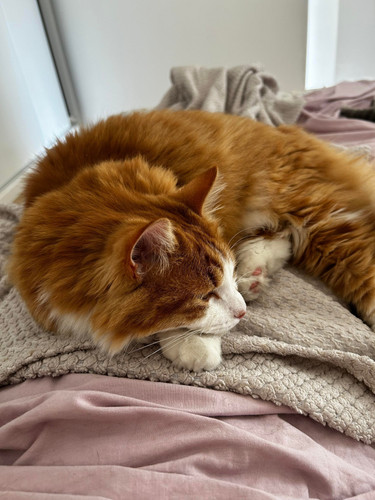 608894448 122267598434185018 2758009844014212420 n.jpg