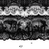 IMG 4785.gif