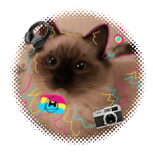 ezgif.com animated gif maker (1).gif
