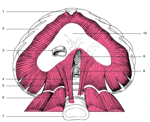 23ee5c7be383.png