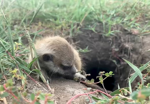 weik46O BYhQjoy .jpg