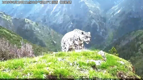 qHI6jA cv6ICvznV.jpg