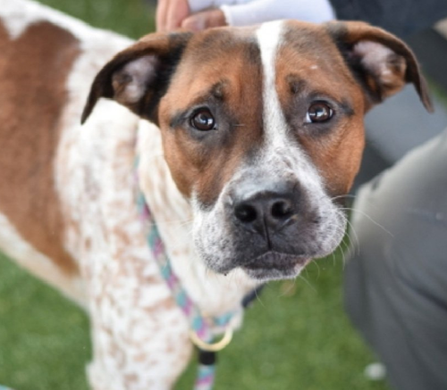 G93CpxVXkAAO o7?format=png.png