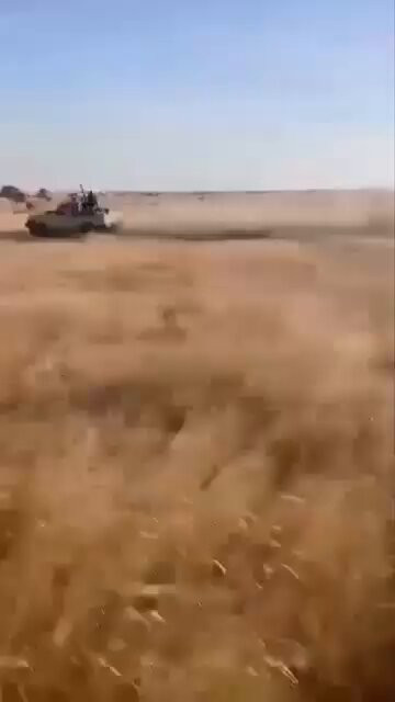 O9ImdAw1gU P w2T.jpg