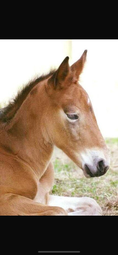 496969176 10162199912227771 5469103222004805009 n.jpg