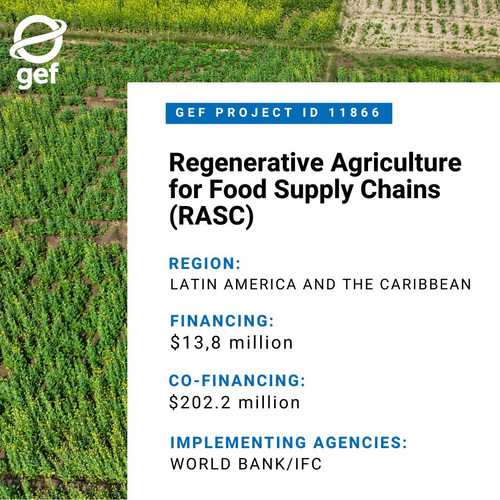 G Tw6loWkAA0rep?format=jpg.jpg