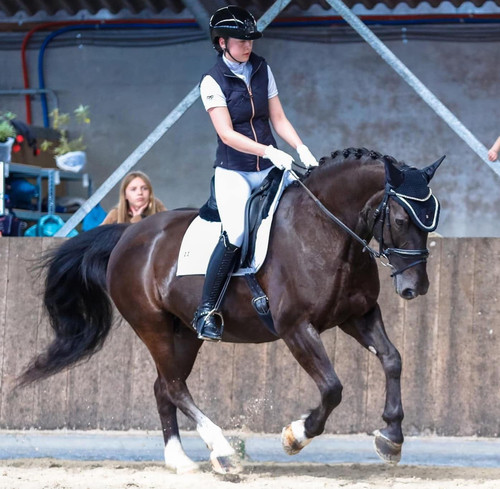 480727425 10161913578072771 7363164280084843599 n.jpg