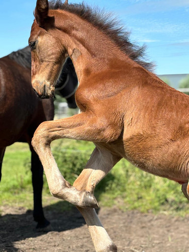 471988924 10161797377807771 4270450006877207719 n.jpg