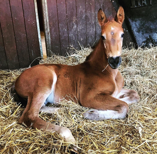 481998635 10161954581397771 6982990632438118976 n.jpg