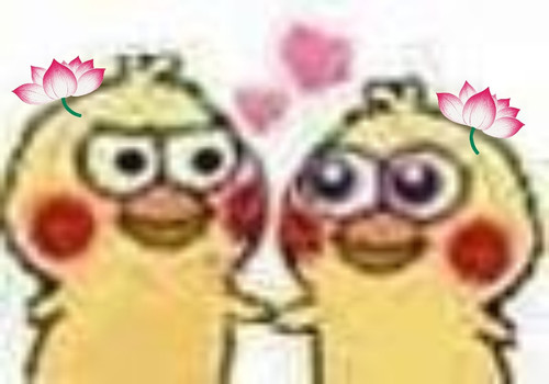 MEITU 20260111 011312867.jpg