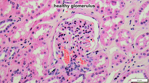 EZBWAQR 20pXuDv .jpg