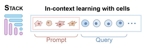 G PtcKUXIAAEpr2?format=jpg.jpg