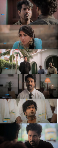 InCollage 20260110 232741028.jpg