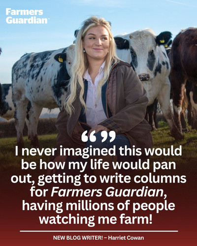 G JylKSXcAAMwbd?format=jpg.jpg