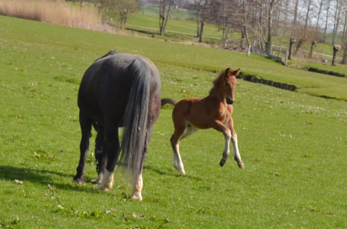 513862411 10162403351512771 5312539100806781638 n.jpg