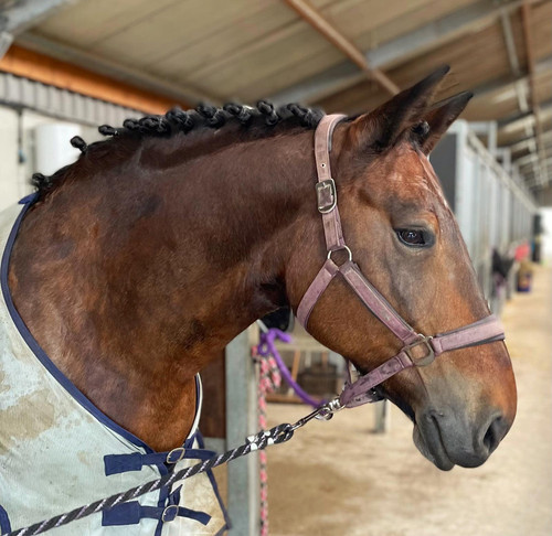 518137307 10162563606452771 1545053964660085418 n.jpg