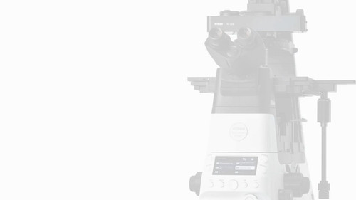 fd5zIINYFuTotA6x.jpg