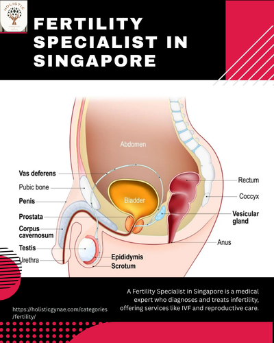 Fertility Specialist in Singapore.png