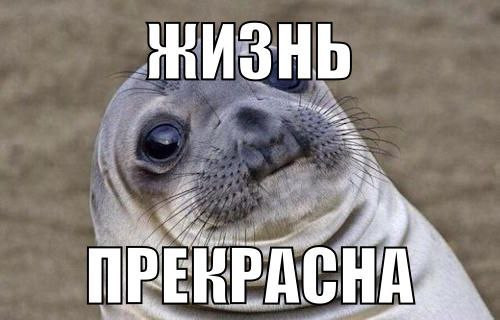 403e99681e91.jpg